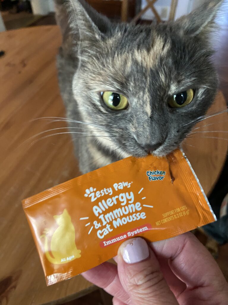 Kitty interacting with a cat pet health product for a UGC image